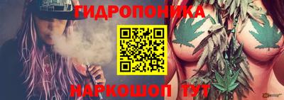 ECSTASY Будённовск