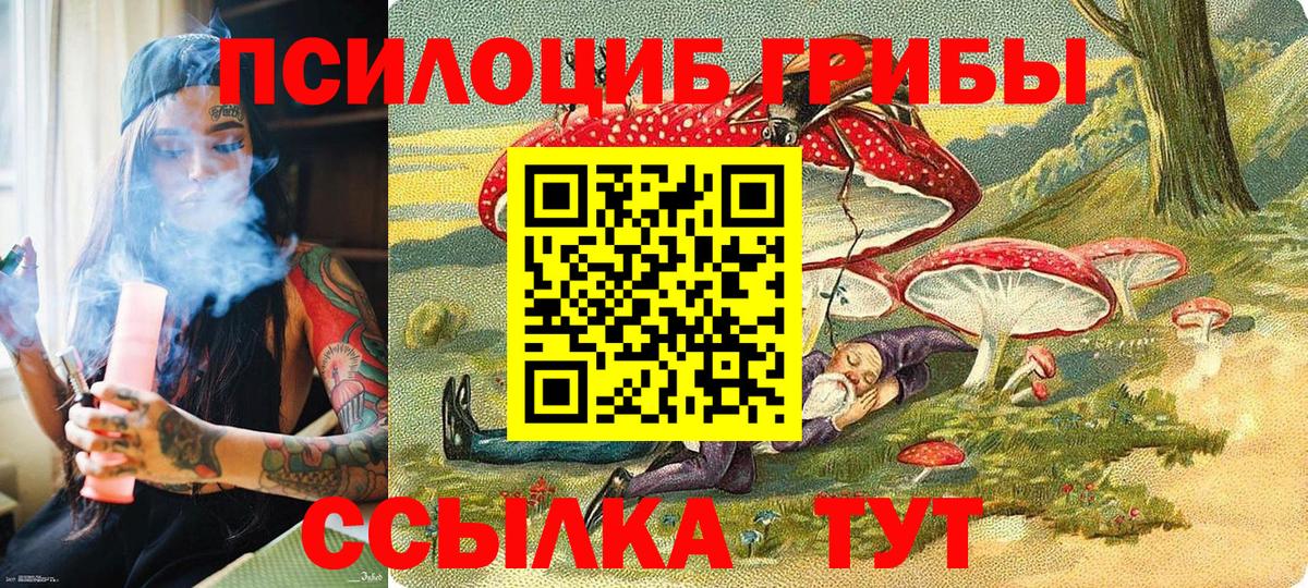 Галлюциногенные грибы Psilocybe Прохладный