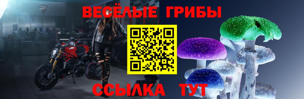 Прохладный  Псилоцибиновые грибы Psilocybine cubensis  Вход с VPN 